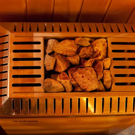 Alpina Lech - Geborgen In Den Bergen 4* Lech am Arlberg